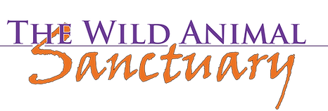 The Wild Animal Sanctuary